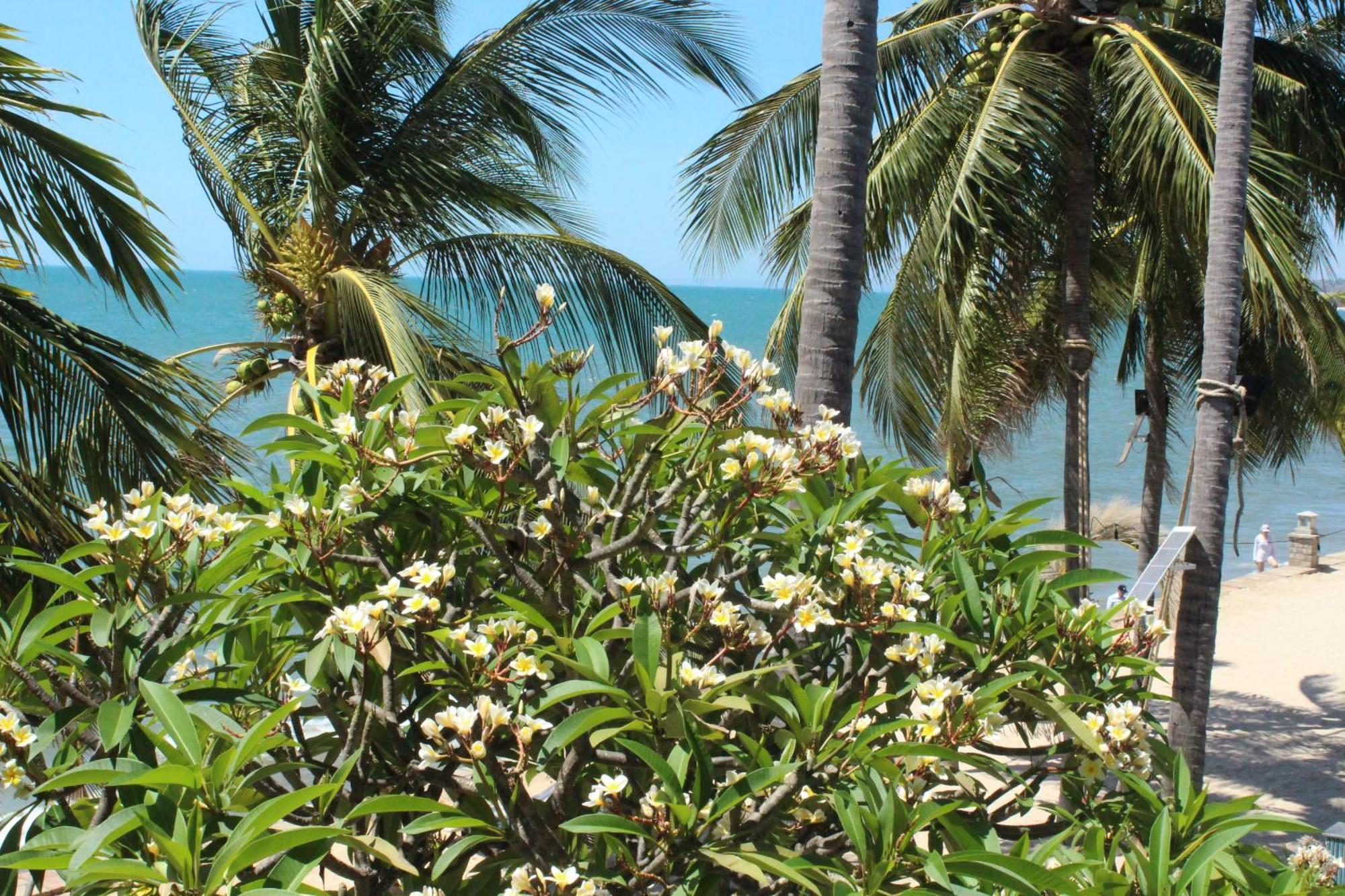 Dynasty Muine Resort Ap Thien Phuoc エクステリア 写真